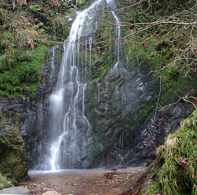 Dhoon Glen